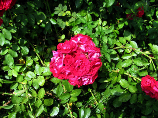 1566114 (a): :2560x1920
